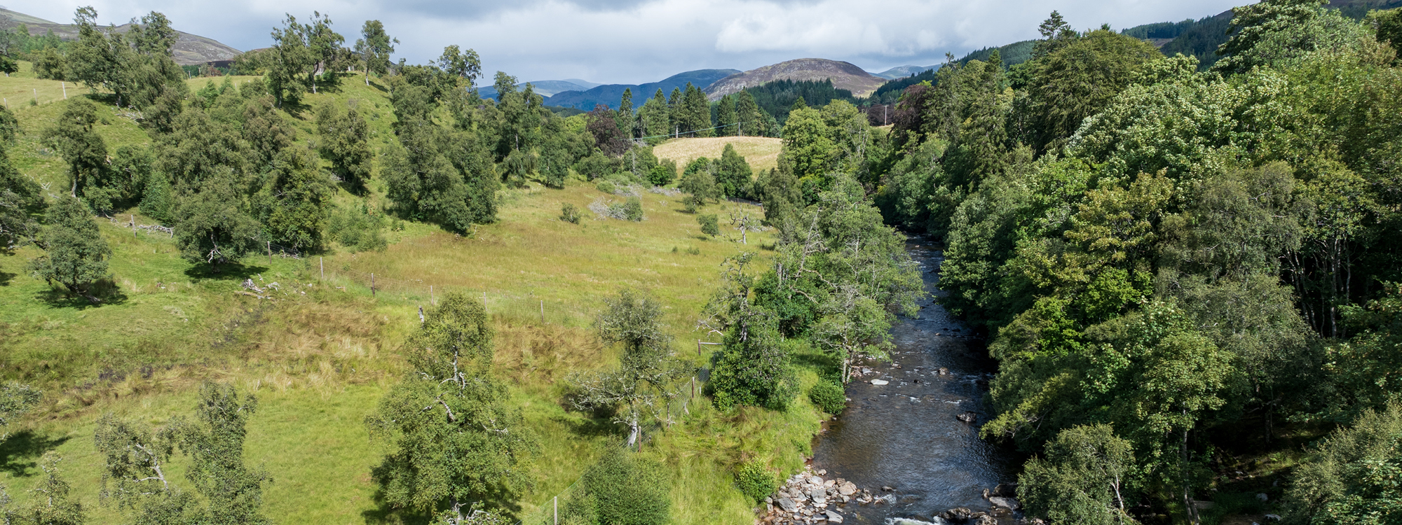drone photograph of river beside larch house