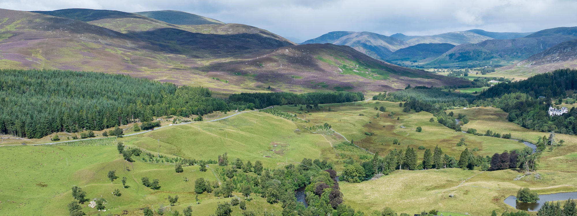 Cairngorm mountains viewed from larch house