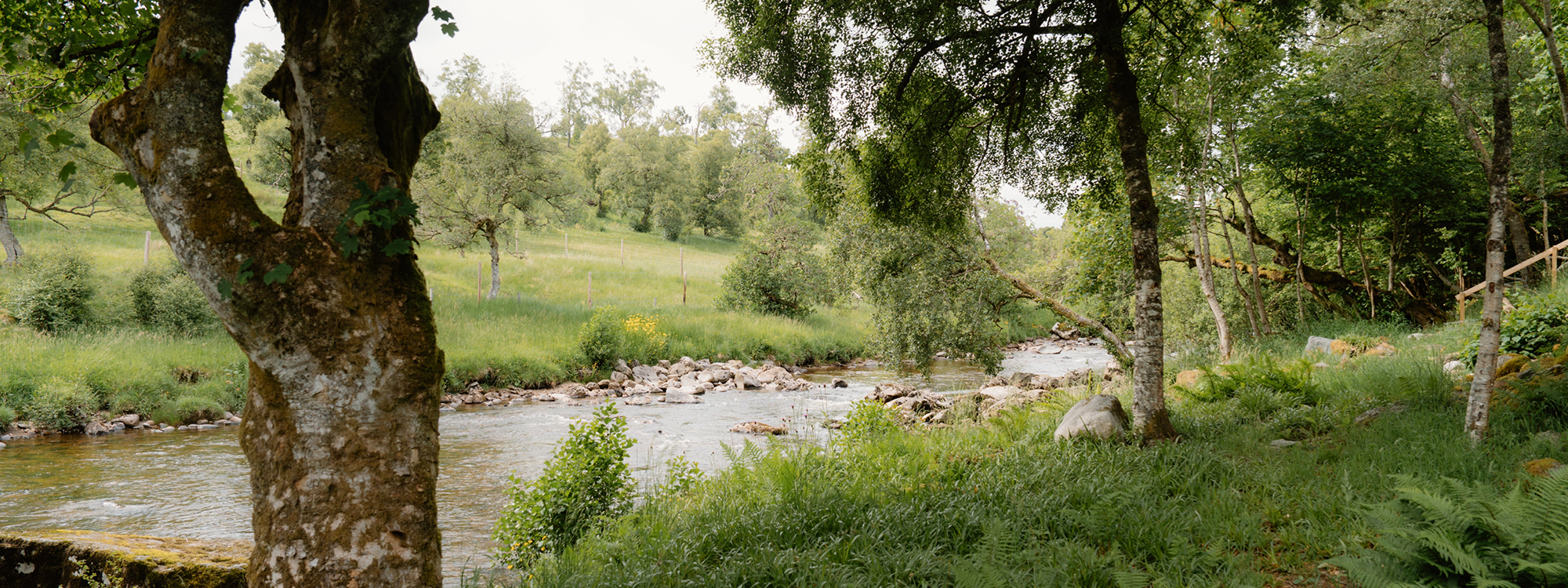 private riverbank at larch house